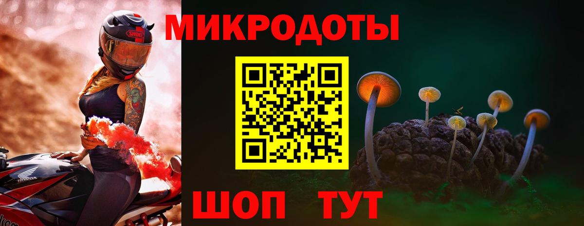 Псилоцибиновые грибы Psilocybe  Вход с VPN  Губаха 